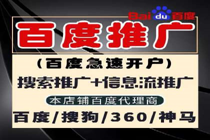 案例分析：竞价推广实战中的困境与突破